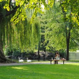 Ambiente e Ufficio Beni Ambientali e Culturali
