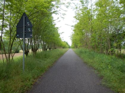 Pista Ciclo-pedonale Ostiglia Pista Ciclo-pedonale Ostiglia