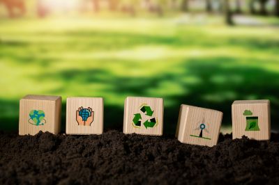 4 dati con concetti di ecologia