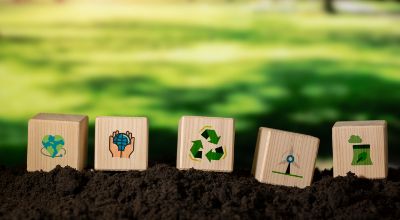 4 dati con concetti di ecologia