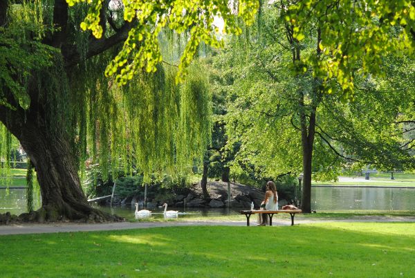 Ambiente e Ufficio Beni Ambientali e Culturali